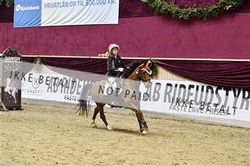 161006_abo_01__D050674.JPG