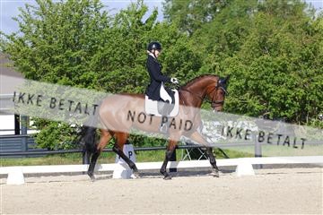 179330_avh_01_5154.JPG