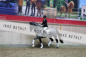 181887_mtp_05_R62_9597.JPG