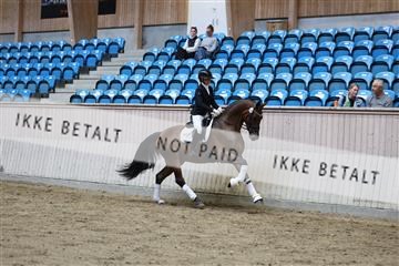 181887_mtp_02_R62_7744.JPG