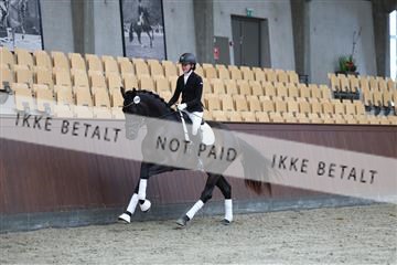 181852_mtp_04_R62_2713.JPG