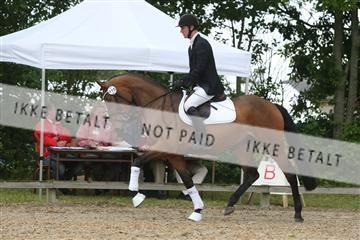 135518_ms_01_IMG_0913.JPG