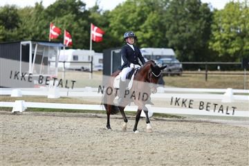 181894_mtp_05_R62_4742.JPG