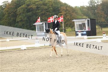 181894_mtp_03_R62_2531.JPG