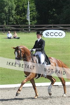 135676_sg_01_IMG_7824.JPG
