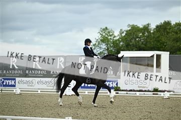 181449_kbb_03_Z090467.JPG