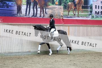 181887_mtp_04_R62_8765.JPG