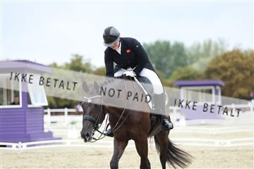 181923_mtp_04_R62_8519.JPG