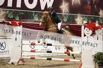 175934_avh_02_7070.JPG