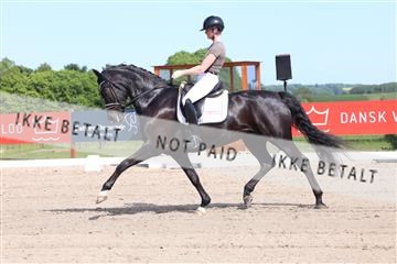 181449_bc_01R62_5887.JPG