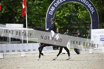 181449_kbb_02_6II0031.JPG