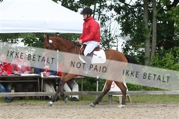 135518_ms_01_IMG_1538.JPG