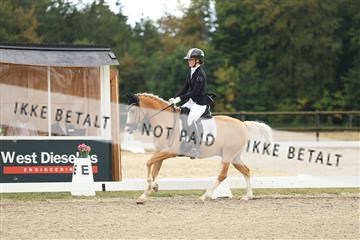 181894_mtp_03_R62_2507.JPG