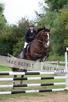 152528_nn_01_IMG_3383.JPG