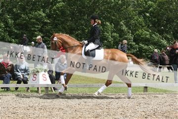 135518_ms_01_IMG_1751.JPG