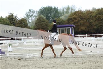 181923_mtp_02_R62_7064.JPG