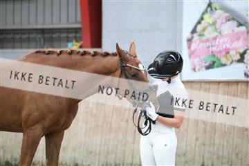 181867_mtp_02_R62_4927.JPG
