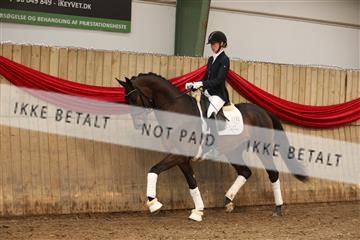 170266_mtp_01_3M5A0455.JPG