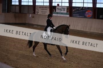 173782_mtp_01_3M5A8157.JPG