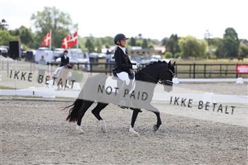 181894_mtp_01_R62_0732.JPG