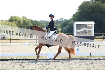 181894_mtp_02_R62_1758.JPG