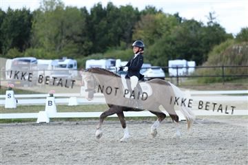 181894_mtp_05_R62_5151.JPG