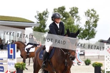 181922_avh_02_1461.JPG
