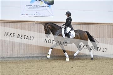 160111_nn_01__ESK1871.JPG