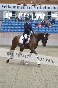 160111_nn_01__ESK1292.JPG
