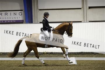 141472_abo_01__AB15181.JPG