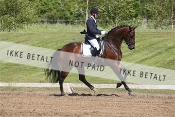 147698_nn_01_IMG_0032.JPG