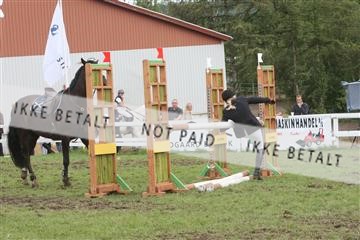 5925_ma_05_IMG_0724.JPG