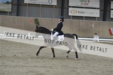 167169_kbb_1__KBB3868.JPG