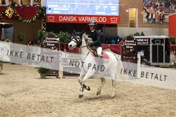 175934_avh_02_7192.JPG