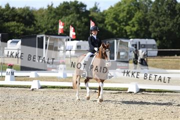 181894_mtp_05_R62_4859.JPG