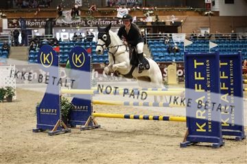 175934_avh_02_7145.JPG