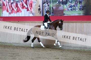181887_mtp_02_R62_7394.JPG