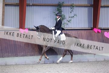 173883_mtp_01_3M5A9862.JPG