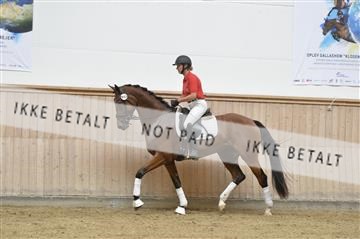 160111_nn_01__ESK2014.JPG