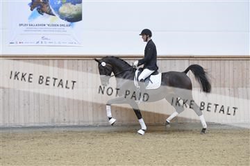 160111_nn_01__ESK1867.JPG