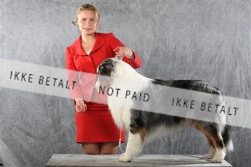 129608_le_ 01_0855.JPG