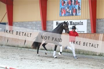 181868_mtp_01_R62_5066.JPG