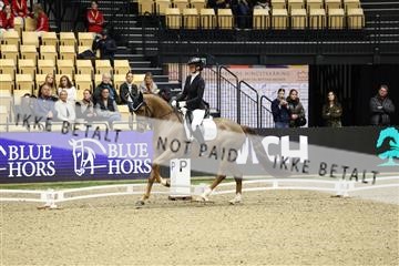178838_mtp_04_0E6A4184.JPG