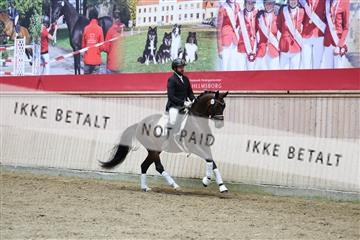 181887_mtp_05_R62_9486.JPG