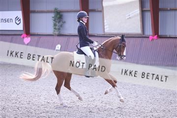 173883_mtp_01_3M5A0577.JPG