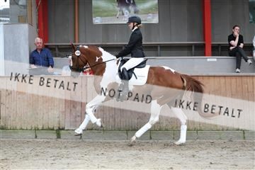 181867_mtp_01_R62_3981.JPG
