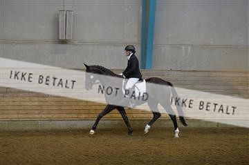 144288_abo_01__AB21729.JPG