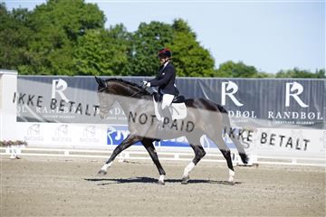 181449_kbb_01_6II9591.JPG