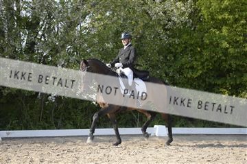 155778_ms_02__MS16062.JPG