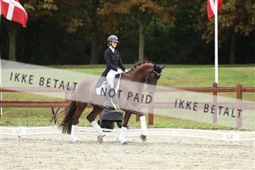 181923_mtp_03_R62_8004.JPG